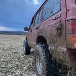 Wyatt Downs - @wyattdowns731 - Instagram
