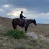Wyatt Dye - @wyatt_dye5 - TikTok