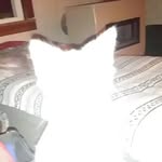 Wyatt Eaves - @eavesbro03 - Instagram