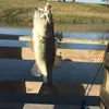 Wyatt eaves - @wyatt.eaves - TikTok
