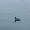 Wyatt.hoff - @wyatt.hoff27 - TikTok
