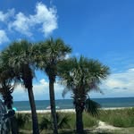 Wyatt Farris - @dontneedaname6969 - Instagram