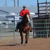 wyattfields606 - @wyattfields_ - TikTok