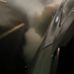 Wyatt Flack - Facebook