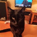 Wyatt Ford - Facebook