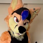 Wyatt Fox - @wyattthefox_ - Instagram