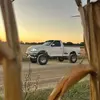 Wyatt_the_Fox - @wyatt_the_fox - TikTok