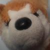 wyattfox - @wyattfox - TikTok