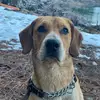 wyatt_geist - @wyatt_geist - TikTok