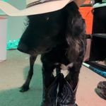 Wyatt Gilbert - @wyatttalongilbert - Instagram