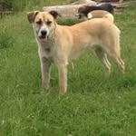 Wyatt Gilbert - @wyatt.gilbert - Instagram