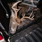 Wyatt Good - Facebook