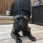 Wyatt Good - Facebook