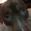 Wyatt Goodhart - @wyatt.goodhart - TikTok