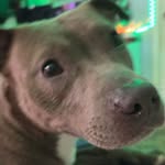Wyatt goodman - @wyattgoodman3408 - Instagram