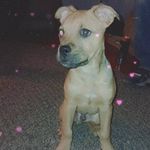 Wyatt Haley - @wyatthaley33 - Instagram