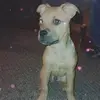 Wyatt Haley - @wyatt.haley0 - TikTok