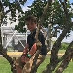 Wyatt Hall - @wyatthall28 - Instagram