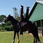 wyatt harris - @wyatt_harris__ - Instagram
