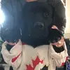 Wyatt - @wyatt.harris5 - TikTok