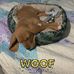 Wyatt Henderson - Facebook