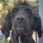 Wyatt Hendrix - @grizzles94 - Instagram