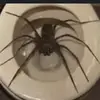 wyatthendrix32 - @wyatthendrix32 - TikTok