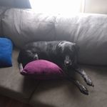 Wyatt Hoffman - @wyatthoffman4 - Instagram