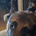 Wyatt Hoffman - Facebook