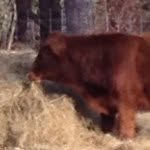 Wyatt Hull - @wyatt_hull_00 - Instagram