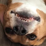 Wyatt Kay - @wyatt_kay53 - Instagram