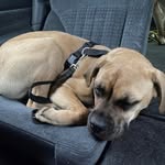 Wyatt Key - @wyatt.key_ - Instagram