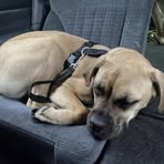 Wyatt Key - Facebook