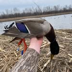 Wyatt Keys - @wyatt_keys09 - Instagram