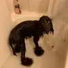 Wyatt Latimer - @wyatt.latimer - TikTok