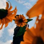 Wyatt - @wyattlyons96f7 - Instagram