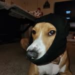 Wyatt Mcclain - @wyatt.mcclain - Instagram