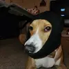 Wyatt McClain - @wyatt.mcclain - TikTok