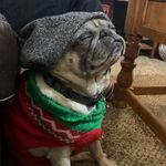Wyatt Michael - @the_real_michael_wyatt - Instagram