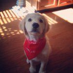 Wyatt Michael Davis - @wyatt_the_riot1017 - Instagram