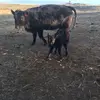 Wyatt Michaels - @wyatt.michaels8 - TikTok