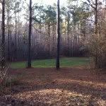 Wyatt Miles - @bocephus_99 - Instagram