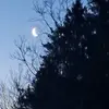 Wyatt_Miles - @wyatt_miles0 - TikTok