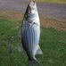 Wyatt Morris - Facebook