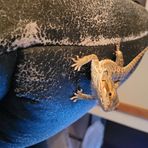 Wyatt Morrison - Facebook