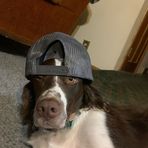 Wyatt Morrison - Facebook