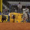 Nelson Wyatt - @nelsonwyatt - TikTok