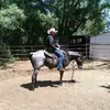 Wyatt Nelson - @nelsonbros20 - TikTok