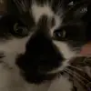Pebbles twerk videos - @wyattpooley - TikTok