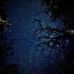 Wyatt Poole - Facebook